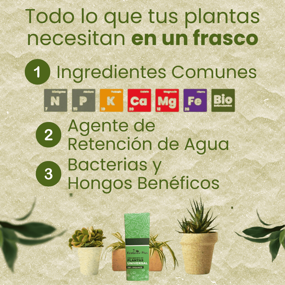Crecimiento para plantas