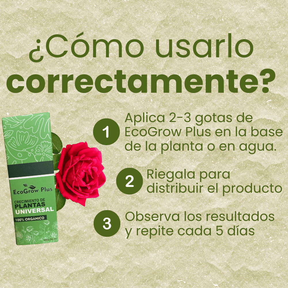 Crecimiento para plantas