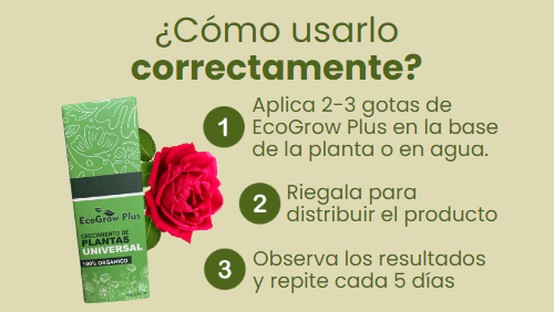 Crecimiento para plantas