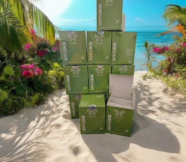 ITSUKI KENKO PARCHES DETOX