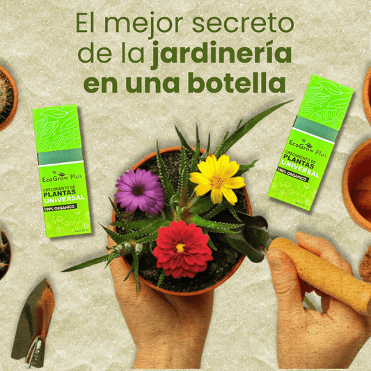 Crecimiento para plantas