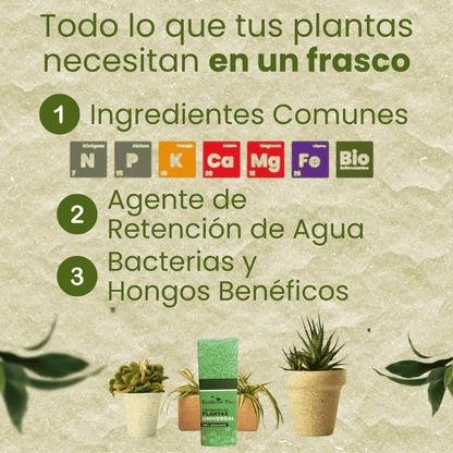 Crecimiento para plantas