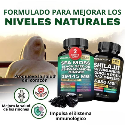 Super Pack de suplementos MuscleMax™ de musgo marino y shilajit